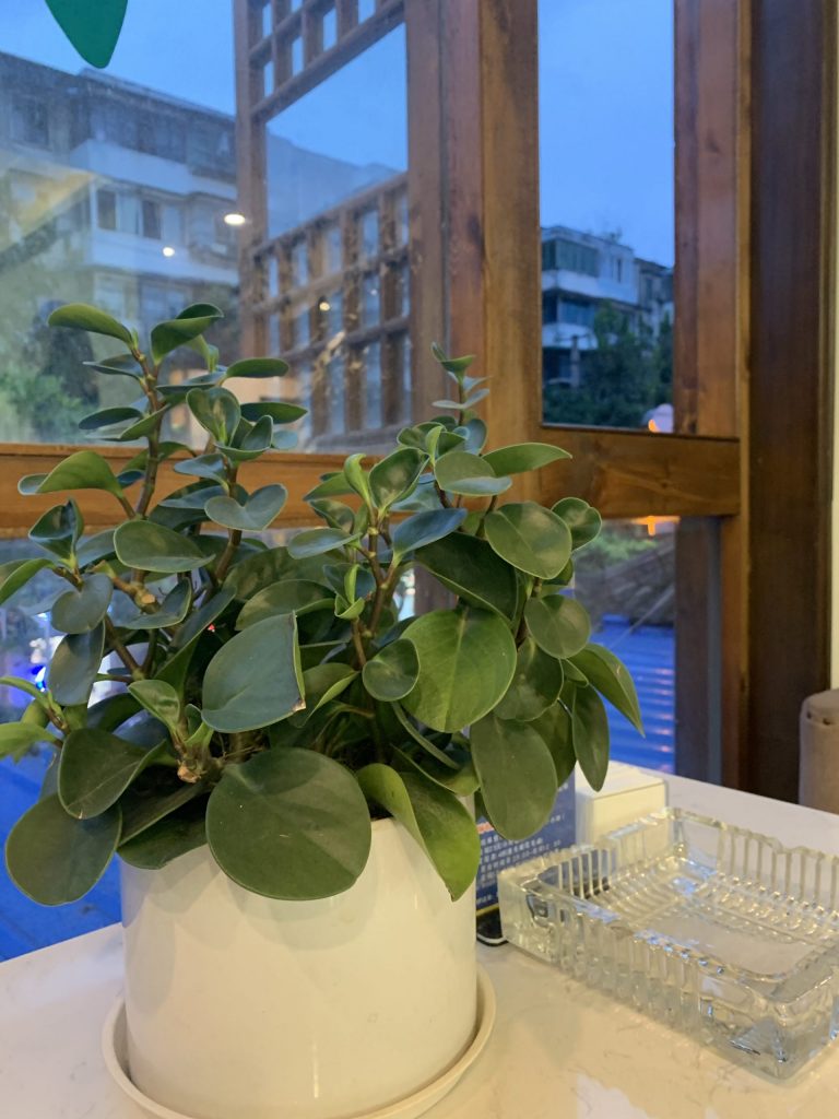 王光卫诗《禅心》