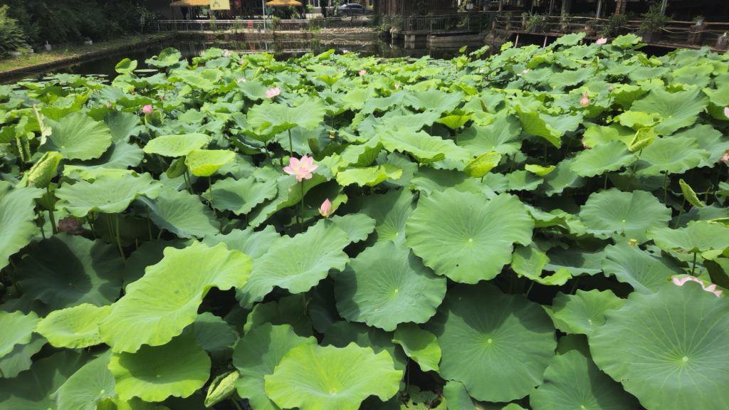 王光卫诗《沁园春·游子归乡》