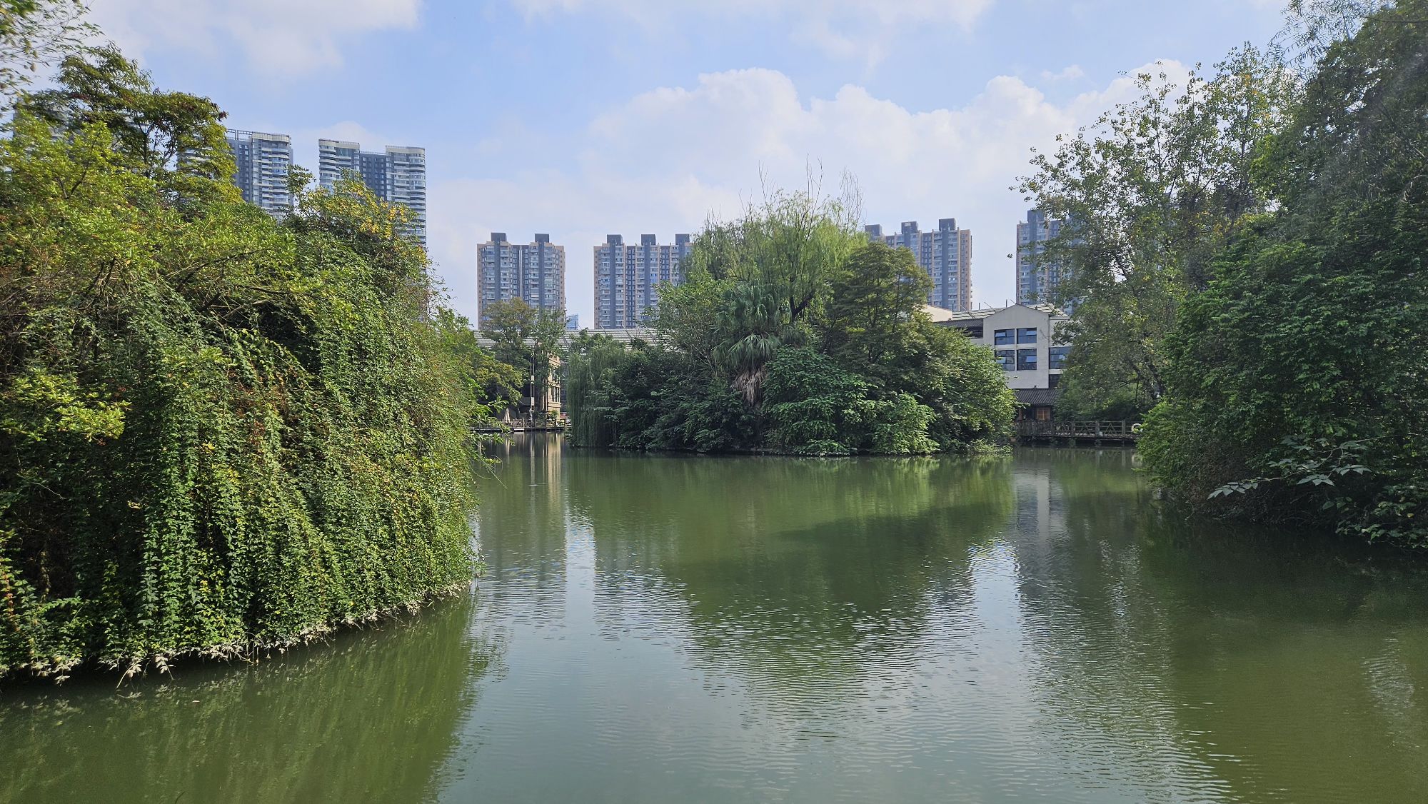 王光卫诗《茶香醉人间》